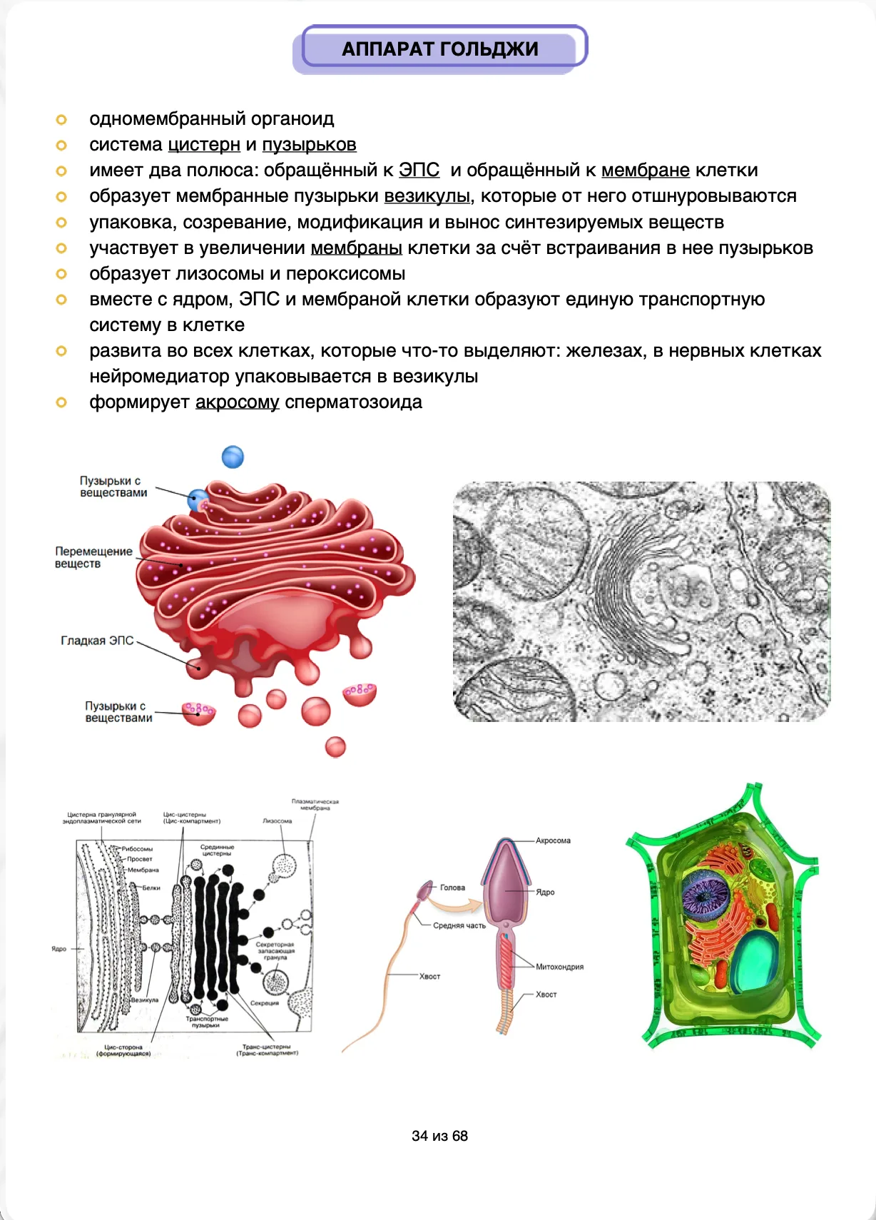 Страница 1 примера конспекта