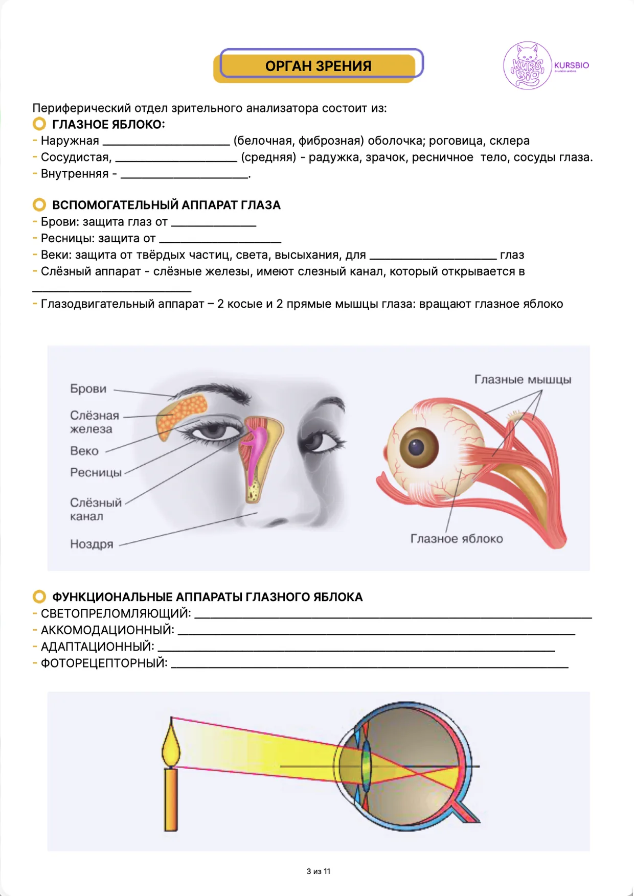 Страница 2 примера конспекта