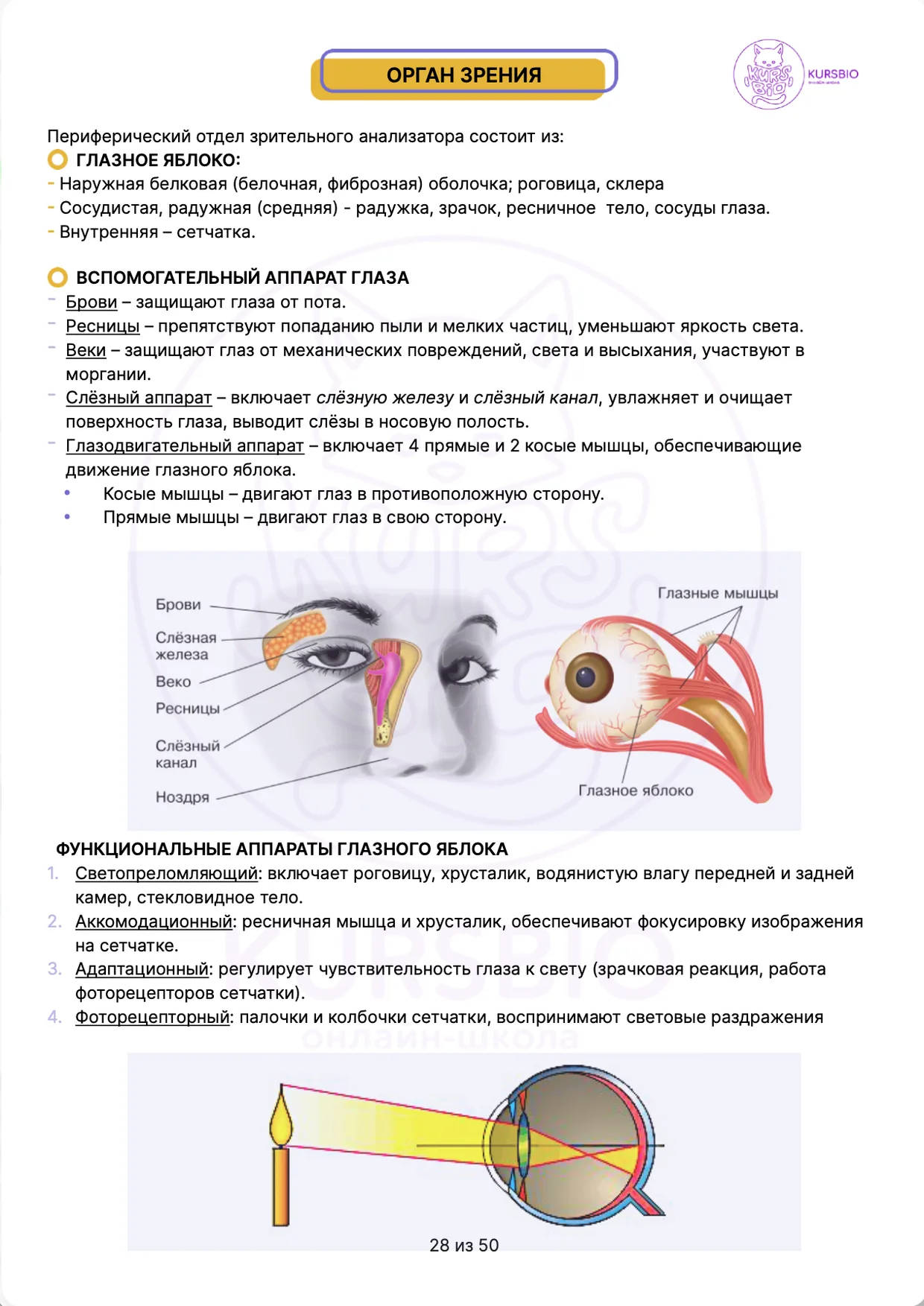Страница 3 примера конспекта